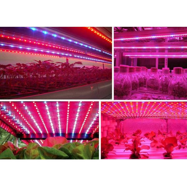 Energy Saving IP65 Aquarium Led Strip , 7000k DC 12V Led Grow Light Strips
