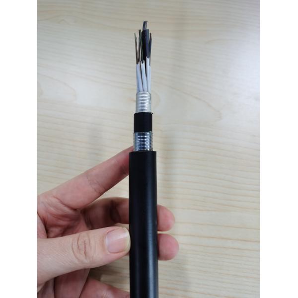 196 Cores Single Mode G652d Buried Underground Fiber Optic Cable Double Sheath