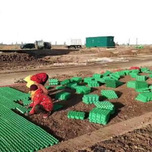 China Green Parking and Garden Honeycomb Gravel Grass Paver Manufactured from HDPE Plastic on sale