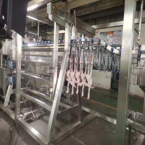 Buy cheap Stainless Steel Chicken Slaughterhouse Equipment Poultry Defeathering Machine from wholesalers