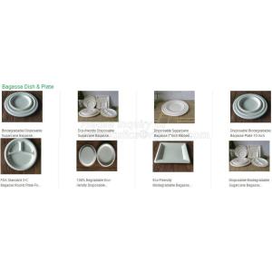 Eco Biodegradable Disposable Sugarcane Bagasse Food Container,Customize