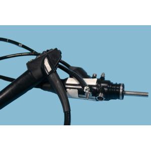EG-590ZW Gastroscope Advanced Medical Endoscope For Veterinary Diagnostics