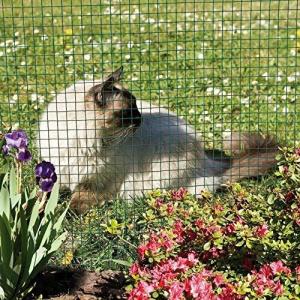 PVC Coated 1x1in Hole Chicken Mesh Fencing