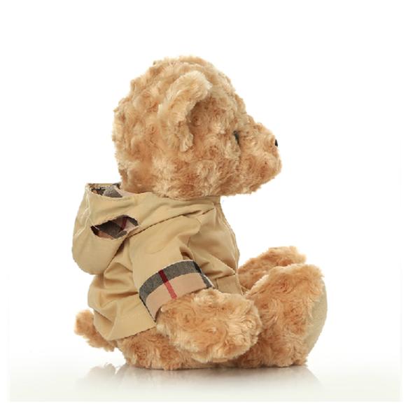 wearing a coat teddy bear