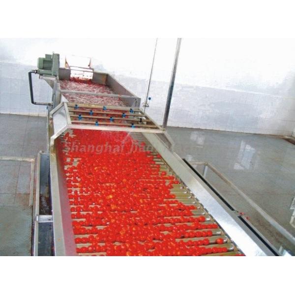 Fresh Tomato Paste Processing Line , High Productivity Tomato Paste Processing
