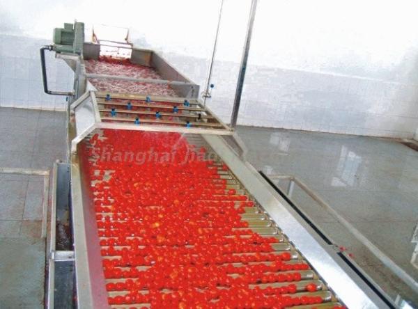 Quality Fresh Tomato Paste Processing Line , High Productivity Tomato Paste Processing Machine for sale