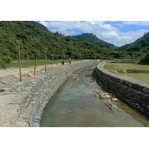 Gabion Mesh (6cm x 8cm) | Perfect for Gardening and Landscaping, Hot-Dipped