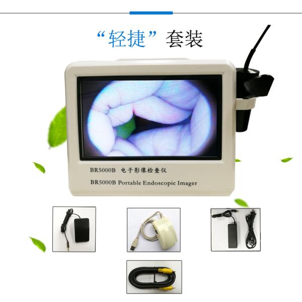 Medical Electronic Image Examiner ENT HD Portable Endoscope Camera