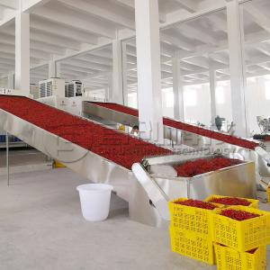 China Chili Pepper Drying System Mesh Belt Dryer Coutinuous Vegetable Spice Drier on sale
