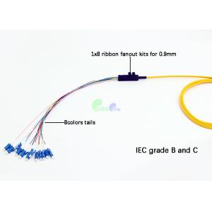 4F - 12F Ribbon fanout 900um Fiber optic pigtail LC OS2 Single mode with 0.9mm