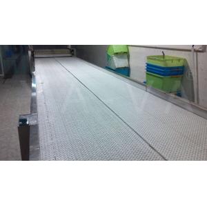 Food Grade Modular Belt Conveyor System
