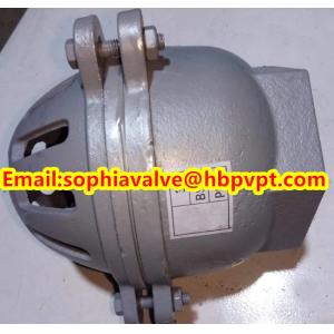 4'' GG20 BS21 PN16 threaded foot valve