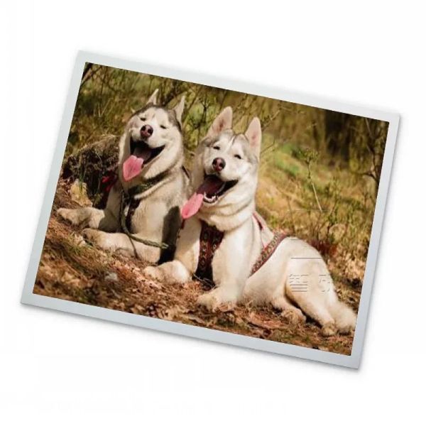 10.4-Inch 1024*768 Industrial Control Complete Display Panel TFT LCD Screen