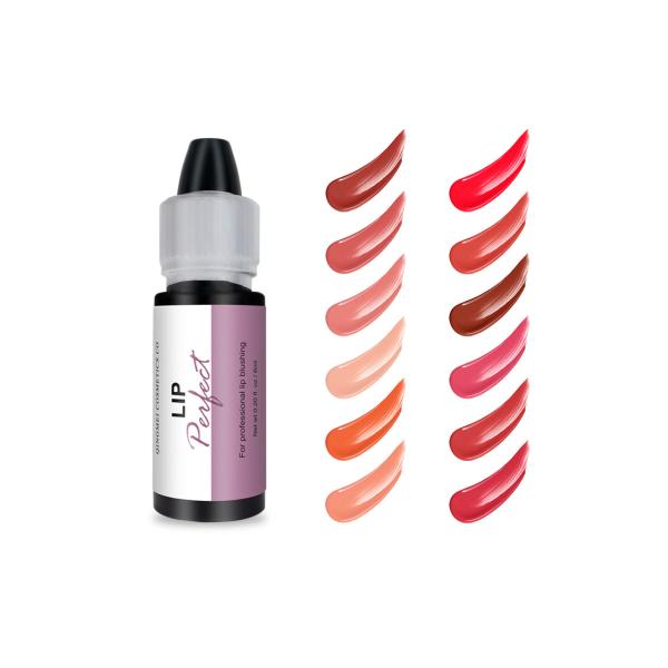 ODM Rapid Coloring Semi Permanent Makeup Pigments Eyebrow Cosmetics Ink