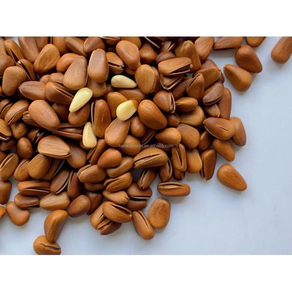 Semi Soft Healthy Snack Mix OU KOSHER Nutritious Organic Pine Nuts