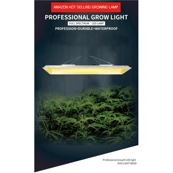 Waterproof 2835 AC240V LED Grow Lights Bar