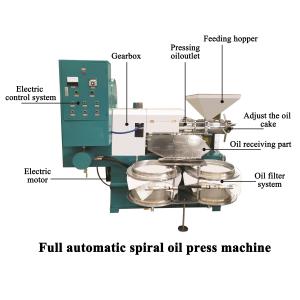 China Cold Press Automatic Peanut Seed Oil Extraction Machine For Edible Oil on sale