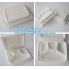 blister packaging Packaging Tray, airline fast food trays with handle, cornstarch food trays for sale