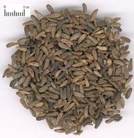 Arctiin Extract, 40% HPLC, high quality, treat cancer,fight against acne,