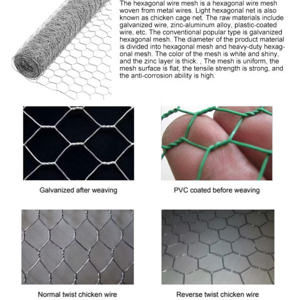 hexagonal wire mesh