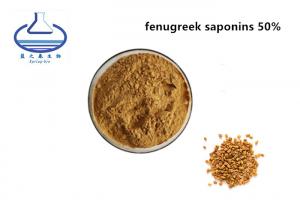 Wholesale Food Grade 50% Fenugreek Seed Extract Fenugreek Saponins Powder from china suppliers