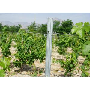 Wholesale Vineyard Accessories Metal Trellis Posts Easy Installation Anti Corrosive from china suppliers