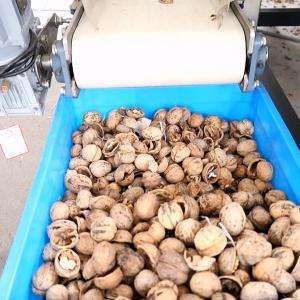 380V 8 Channels Electrical Walnut Shelling Machine CE Approved Capable 1-2 Tons