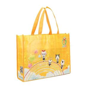 Fast Delivery PP Non Woven Ecofriendly Shopping Bag for Advertising