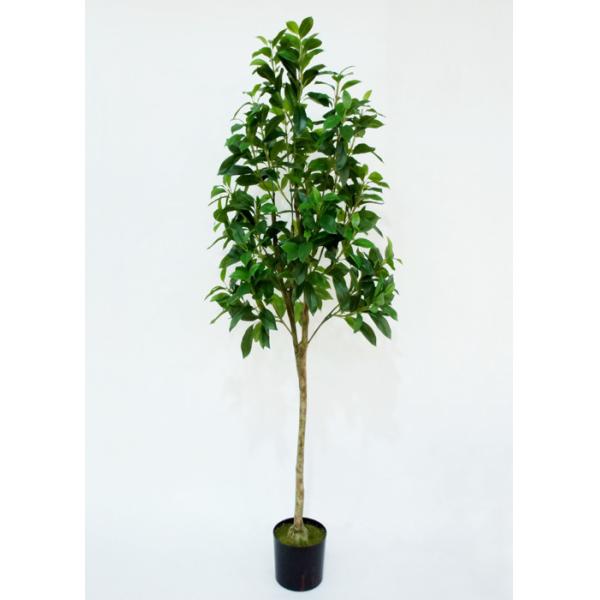 Quality 150cm Artificial Decorative Trees Pachira Macrocarpa Plant Custom Design for sale