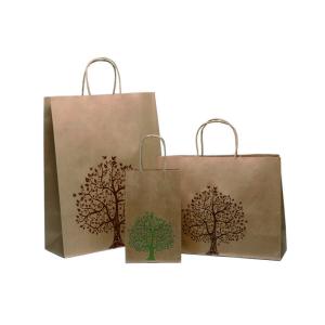 Laminated 250g Printed Paper Bags with Handle Custom Printed Recyclable