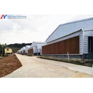 Steel Structure Poultry House with Automated Feeding and Ventilation Systems