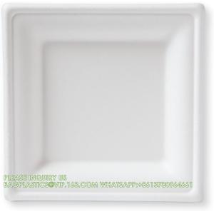 Compostable Paper Plates Set 300pcs Disposable Sugarcane Plates Eco-Friendly