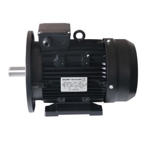 MS100L1-4 4 Pole 2.2KW 3HP Asynchronous Induction Motors