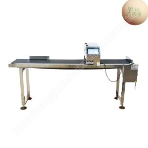 Automatic Electric Egg Processing Machine Coding Carton Printing 60kg 100w