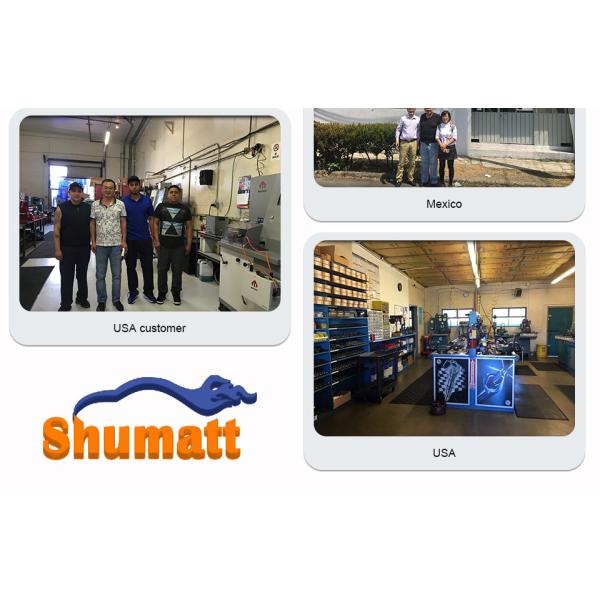 Genuine CR Shumatt Injector Orifice Plate 295040-6220 for diesel fuel engine