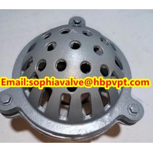 PN16 GG20 BS21 cast iron foot valve