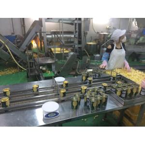 Full Automatic Dried Pineapple Processing Machinery Energy Saving Easy Operation