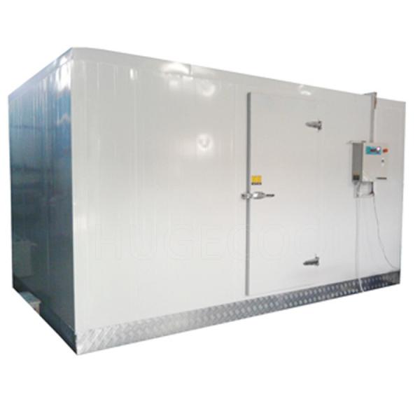 Large Size Quick Insulated Cold Room Chiller and Freezer Room for Large Storage