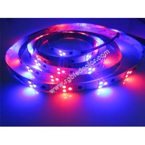 3led pxiel module strip light ws2811