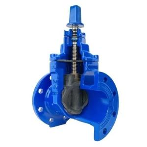 Wholesale Water Ductile Y Type Gate Valve with Flange Connection and Stainless Steel Material from china suppliers