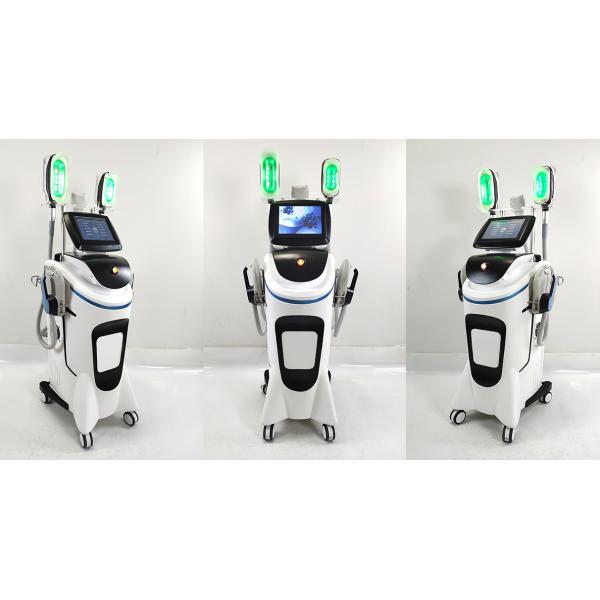 Fat Cell Cryoslimming Machine Cryotherapy 360 Cryoslim Fat Cell Freezing Machine