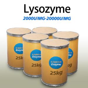 Feed Enzymatic Hydrolysis Technology Lysozyme In Cheese For Food Preservation
