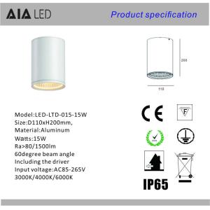IP65 waterproof surface mounted cylinder 15W COB LED downlight&outdoor LED down