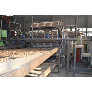 Automatic Paper Egg Tray Machine Egg Carton Production Line Pulp Moulding