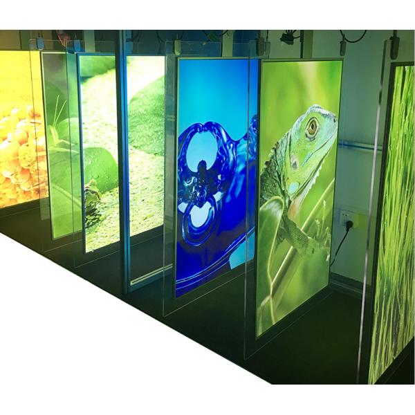 43" 55" Indoor Digital Signage 1.98cm Ultra Thin 4k Advertising Display