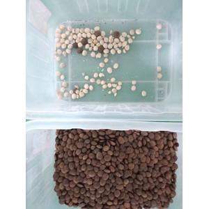 Wenyao Brand Sorter Machine For Groundnut 10 Chute 640 Channels