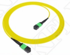 2m 7ft MTP Patch Cord Plenum OFNP MPO Patch Cord Cable 3.0mm MTP 12F APC Female