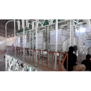 Cameroon 50t/24h Complete Maize Flour Mill Grits Machine Corn Milling Line in