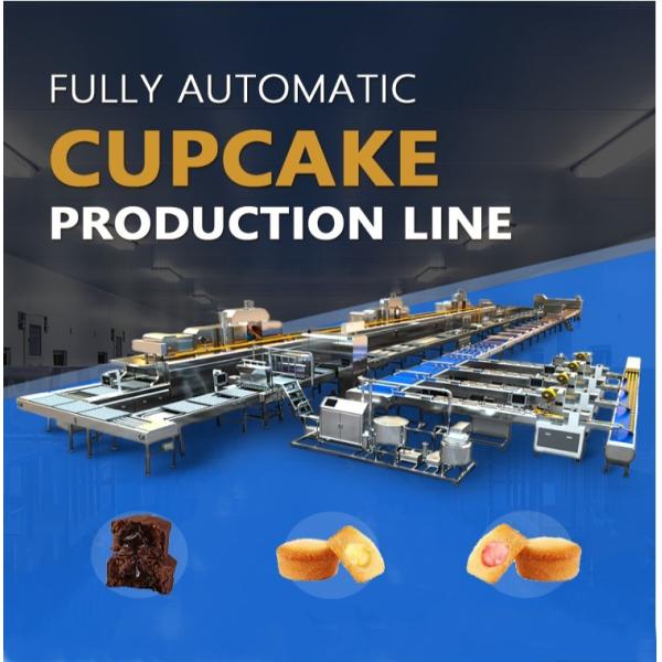 PD800 Cup Cake Custard Muffin Madeline Cake Production Line Cup Cake Making Machine Cup Cake Bakery Equipment Machinery