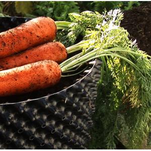 Convenient and eco-friendly pruning container root pot for wholesales